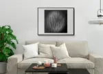 Jaime Urbina - Moon - Imagen 3