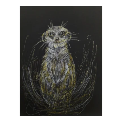 Claudia Yayi Berríos - Suricata