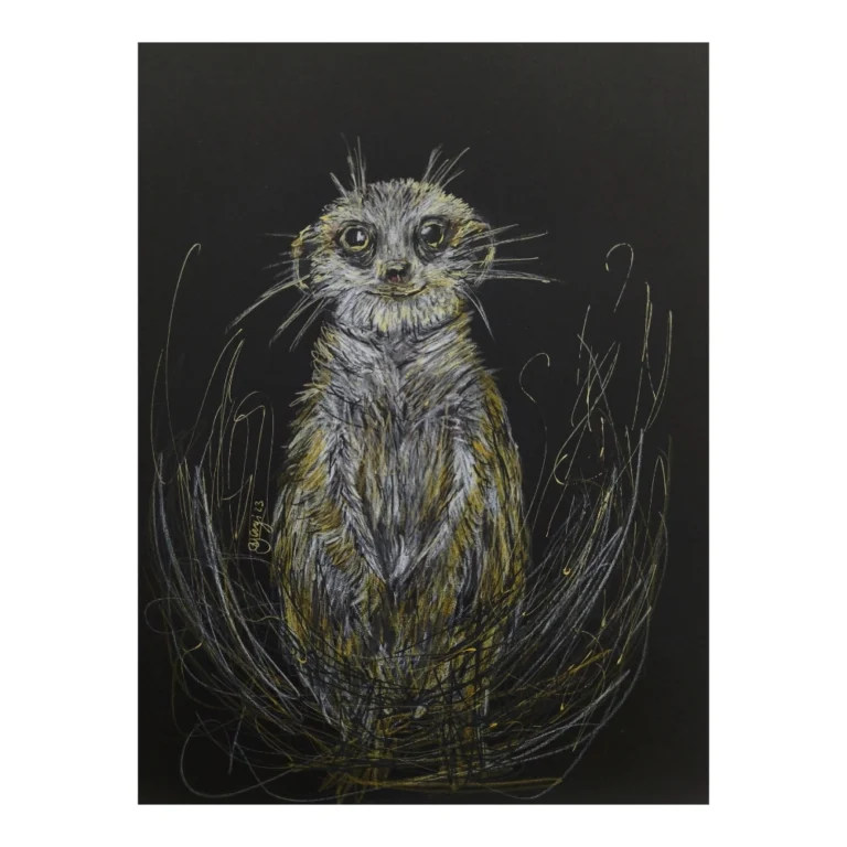 Claudia Yayi Berríos - Suricata