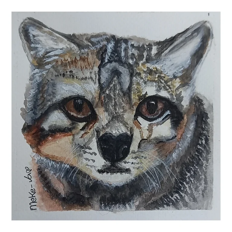 Meke Va - Gato Andino