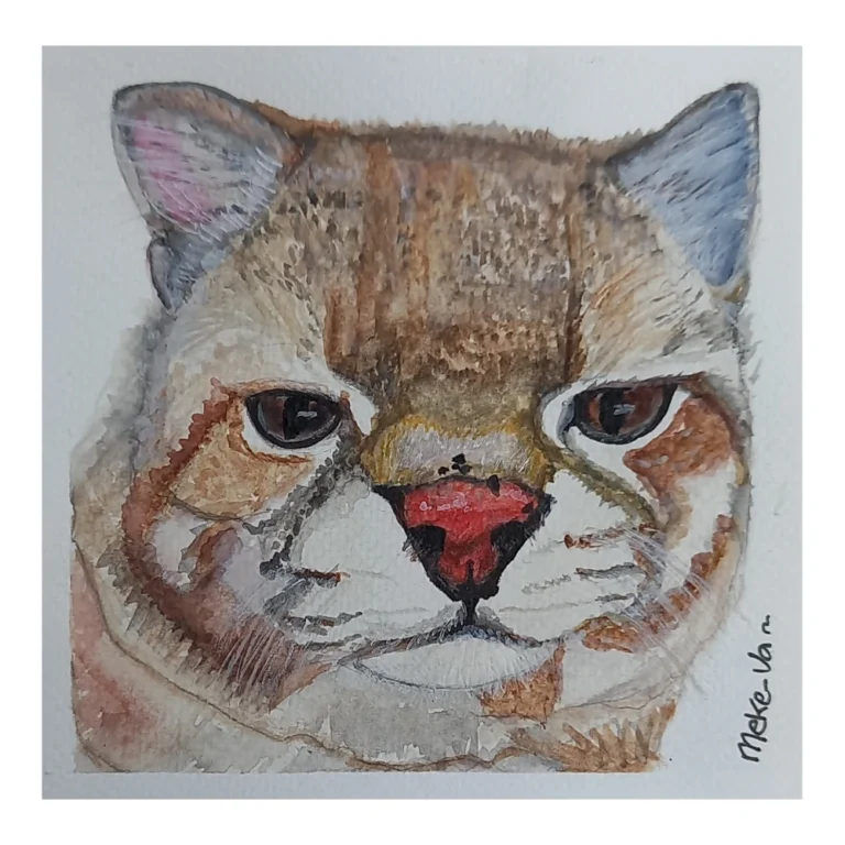 Meke Va - Gato ColoColo