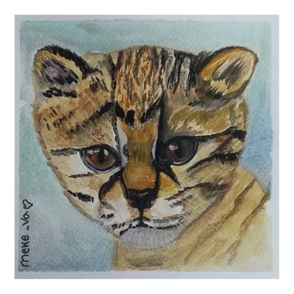 Meke Va - Gato Guiña
