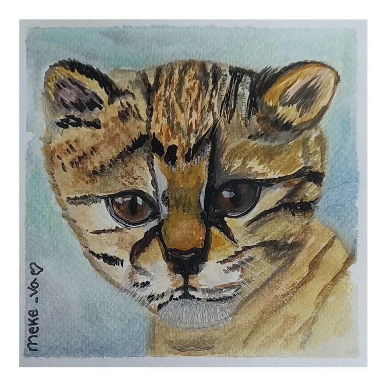 Meke Va - Gato Guiña