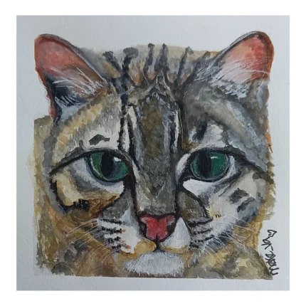Meke Va - Gato de Geoffroy