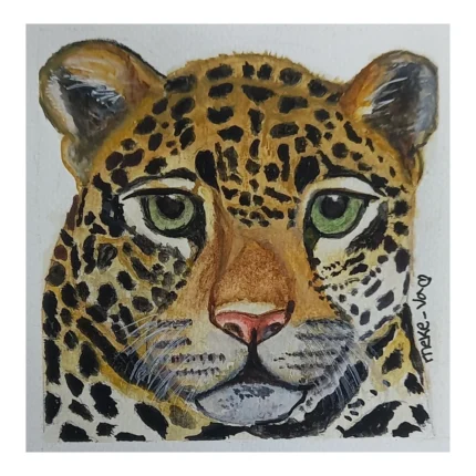 Meke Va - Jaguar Americano