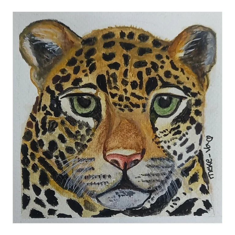 Meke Va - Jaguar Americano