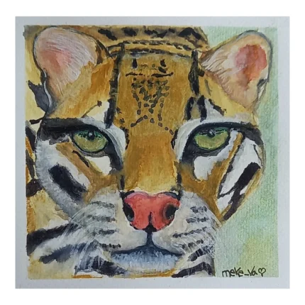 Meke Va - Ocelote