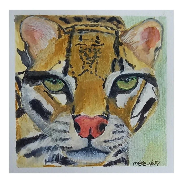 Meke Va - Ocelote