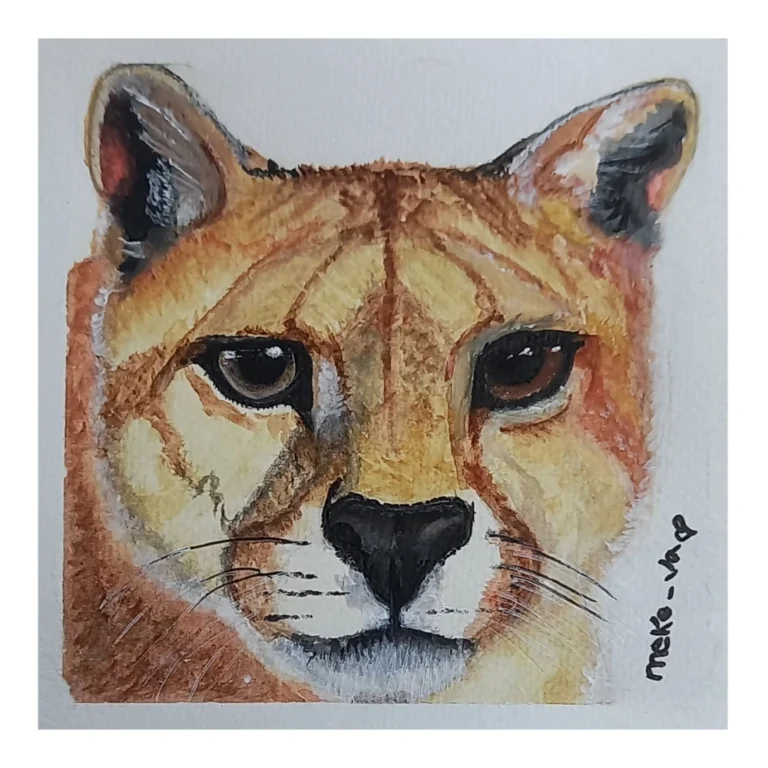 Meke Va - Puma Patagónico