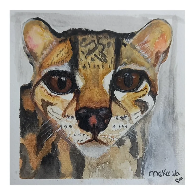 Meke Va - Tigrillo de Margay