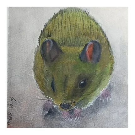 Meke Va - Ratón oliváceo