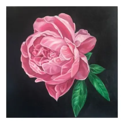 Agustina Morales - Peonia
