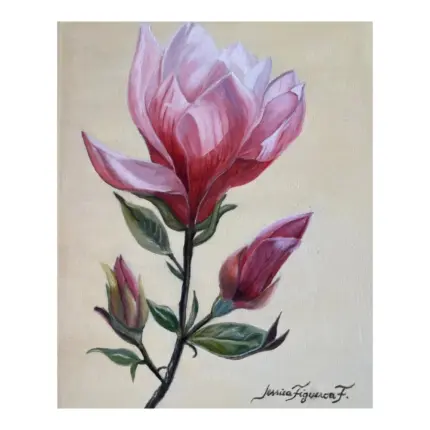 Jessica Figueroa - Magnolia 2