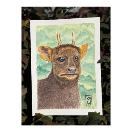 Ricardo Vega Munizaga - Pudú